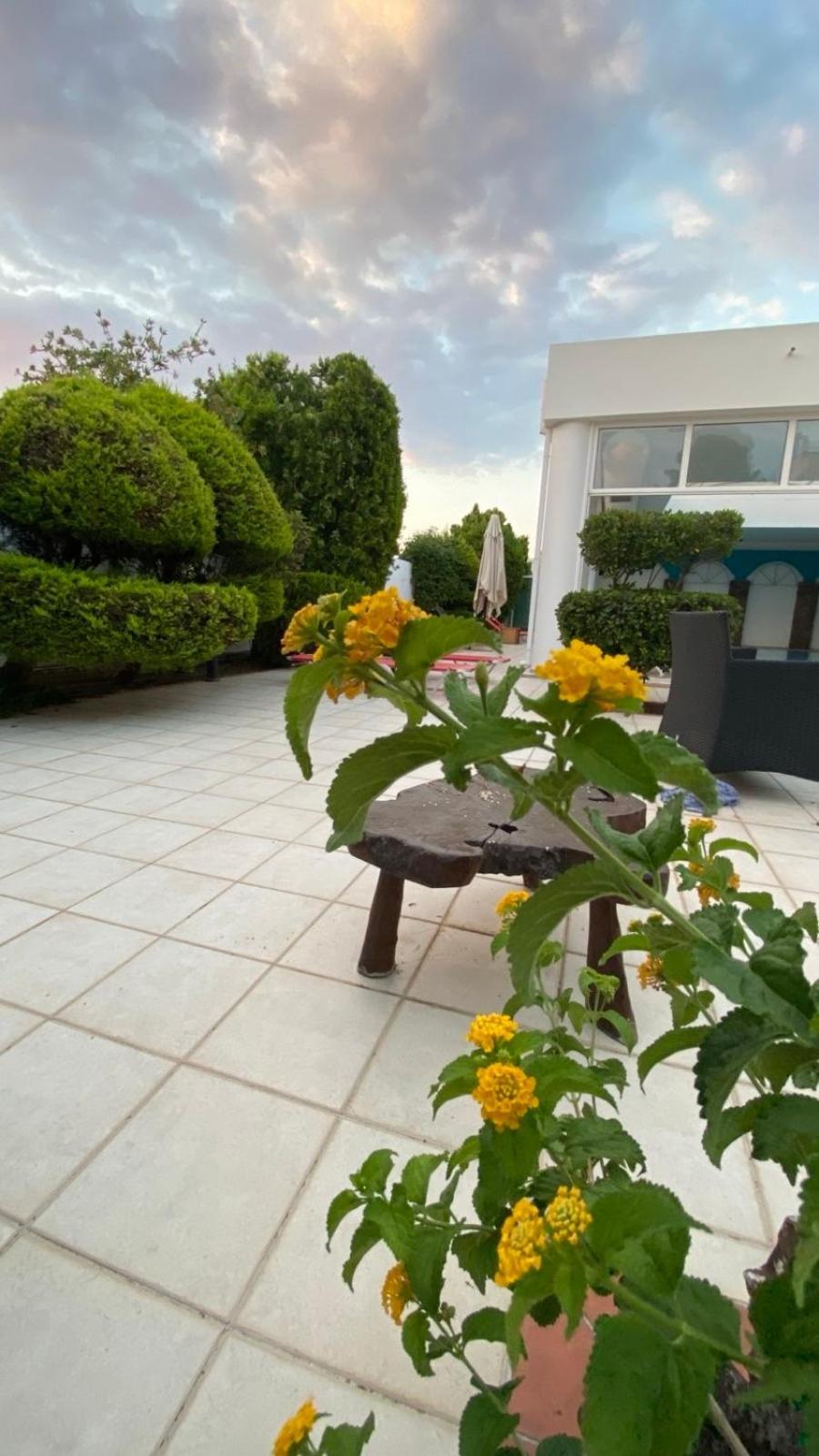 Hotel Kalloni Волос Екстер'єр фото